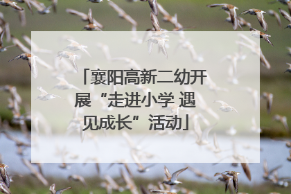 襄阳高新二幼开展“走进小学 遇见成长”活动