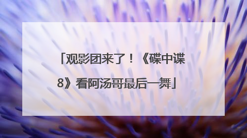 观影团来了！《碟中谍8》看阿汤哥最后一舞