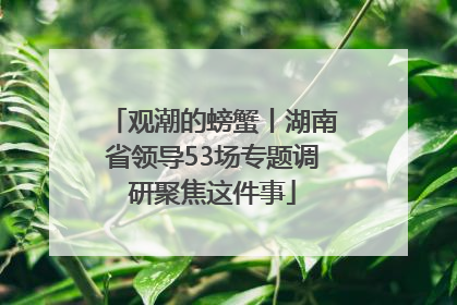 观潮的螃蟹丨湖南省领导53场专题调研聚焦这件事