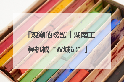观潮的螃蟹丨湖南工程机械“双城记”