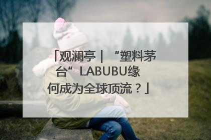 观澜亭｜“塑料茅台”LABUBU缘何成为全球顶流？
