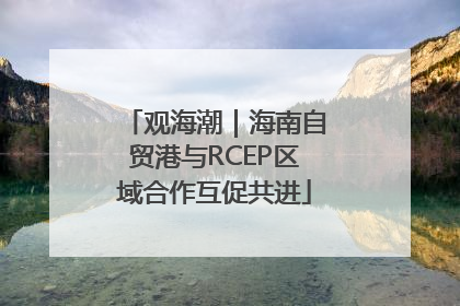 观海潮｜海南自贸港与RCEP区域合作互促共进