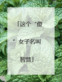 这个“傻”女子名叫智慧