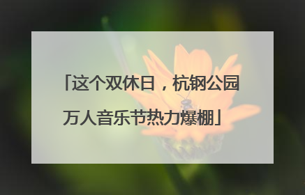 这个双休日，杭钢公园万人音乐节热力爆棚
