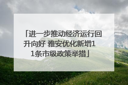 进一步推动经济运行回升向好 雅安优化新增11条市级政策举措