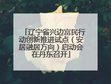 辽宁省兴边富民行动创新推进试点（安居融居方向）启动会在丹东召开