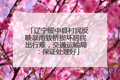 辽宁绥中县村民反映暴雨致桥损坏居民出行难，交通运输局：保证处理好