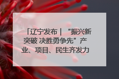 辽宁发布｜“振兴新突破 决胜勇争先”产业、项目、民生齐发力 葫芦岛按下决胜之年“加速键”