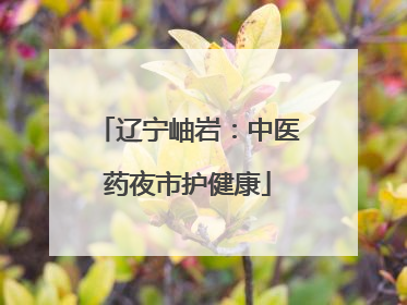 辽宁岫岩：中医药夜市护健康