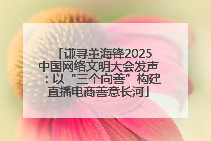 谦寻董海锋2025中国网络文明大会发声：以“三个向善”构建直播电商善意长河