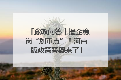 豫政问答丨援企稳岗“划重点”！河南版政策答疑来了