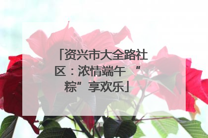 资兴市大全路社区：浓情端午 “粽”享欢乐