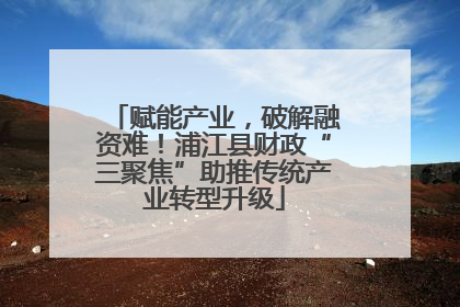 赋能产业，破解融资难！浦江县财政“三聚焦”助推传统产业转型升级