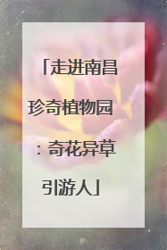 走进南昌珍奇植物园：奇花异草引游人