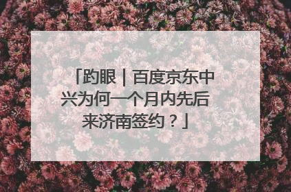 趵眼｜百度京东中兴为何一个月内先后来济南签约？