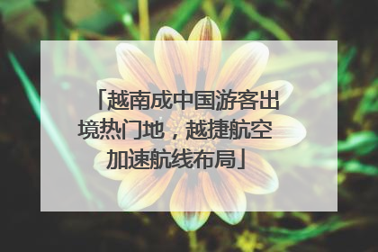 越南成中国游客出境热门地，越捷航空加速航线布局