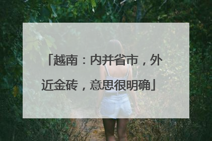 越南：内并省市，外近金砖，意思很明确