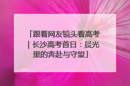 跟着网友镜头看高考｜长沙高考首日：晨光里的奔赴与守望