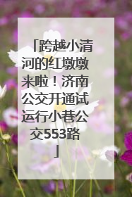 跨越小清河的红墩墩来啦！济南公交开通试运行小巷公交553路