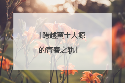 跨越黄土大塬的青春之轨