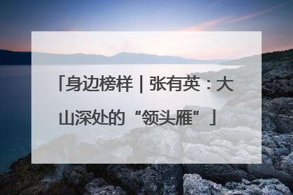 身边榜样｜张有英：大山深处的“领头雁”