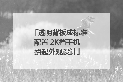 透明背板成标准配置 2K档手机拼起外观设计