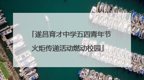 遂昌育才中学五四青年节火炬传递活动燃动校园