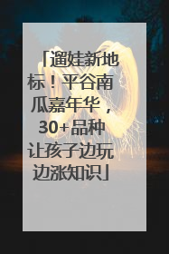 遛娃新地标！平谷南瓜嘉年华，30+品种让孩子边玩边涨知识