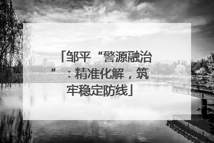 邹平“警源融治”：精准化解，筑牢稳定防线