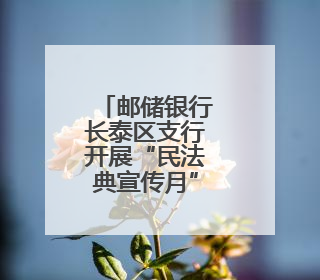 邮储银行长泰区支行开展“民法典宣传月”宣传活动
