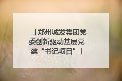郑州城发集团党委创新驱动基层党建“书记项目”