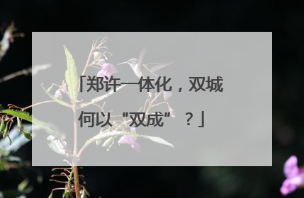 郑许一体化，双城何以“双成”？