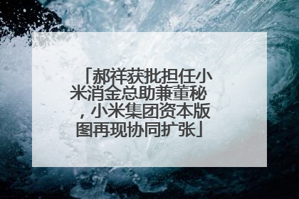 郝祥获批担任小米消金总助兼董秘，小米集团资本版图再现协同扩张