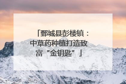 鄄城县彭楼镇：中草药种植打造致富“金钥匙”