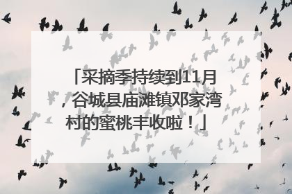 采摘季持续到11月，谷城县庙滩镇邓家湾村的蜜桃丰收啦！