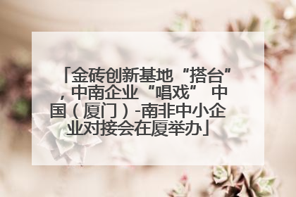 金砖创新基地“搭台”，中南企业“唱戏” 中国（厦门）-南非中小企业对接会在厦举办