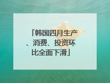 韩国四月生产、消费、投资环比全面下滑
