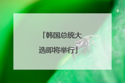 韩国总统大选即将举行