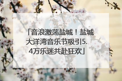 音浪激荡盐城！盐城大洋湾音乐节吸引5.4万乐迷共赴狂欢