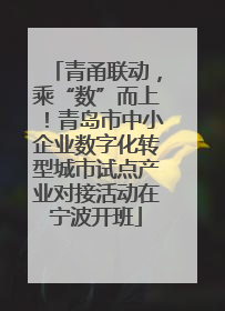 青甬联动，乘“数”而上！青岛市中小企业数字化转型城市试点产业对接活动在宁波开班