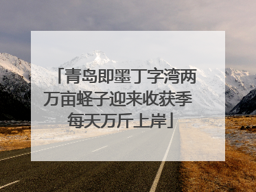 青岛即墨丁字湾两万亩蛏子迎来收获季 每天万斤上岸