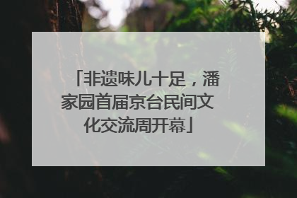 非遗味儿十足，潘家园首届京台民间文化交流周开幕