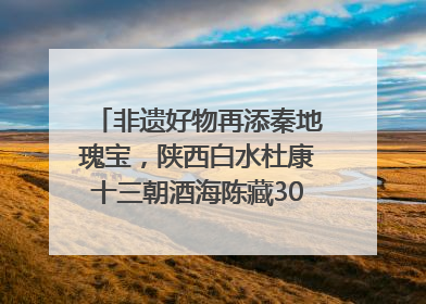 非遗好物再添秦地瑰宝，陕西白水杜康十三朝酒海陈藏30年别具一格