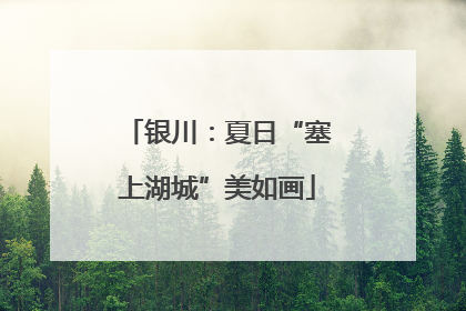 银川：夏日“塞上湖城”美如画