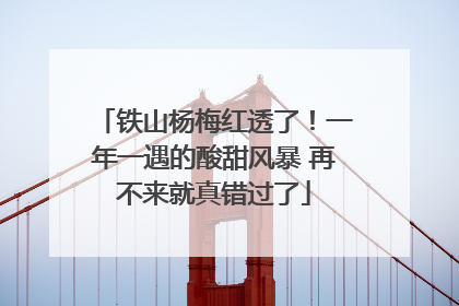 铁山杨梅红透了！一年一遇的酸甜风暴 再不来就真错过了