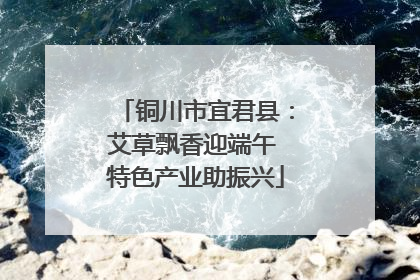 铜川市宜君县：艾草飘香迎端午 特色产业助振兴