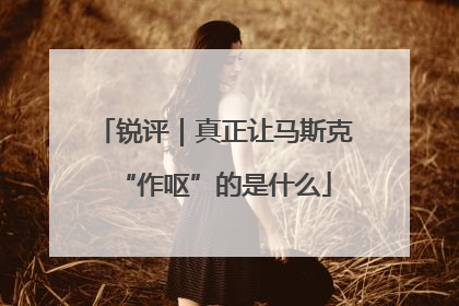 锐评｜真正让马斯克“作呕”的是什么