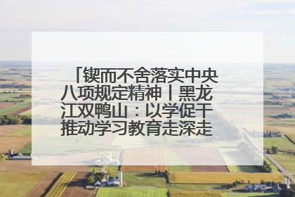 锲而不舍落实中央八项规定精神丨黑龙江双鸭山：以学促干推动学习教育走深走实 从小事入手写好“民生答卷”