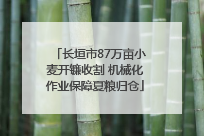 长垣市87万亩小麦开镰收割 机械化作业保障夏粮归仓