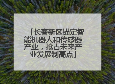 长春新区锚定智能机器人和传感器产业，抢占未来产业发展制高点